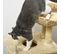 Arbre à Chat Style Cosy Chic 2 Coussins Inclus Quenouille Sisal Naturel Beige