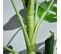 Plante Artificielle Monstera H. 100 Cm Feuilles De Tortue Réalistes Pot Inclus