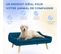 Canapé Chien Design Scandinave Pieds Bois Velours Bleu Canard