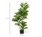 Ficus Lutea Artificiels 1,10h M - Lot De 2 Ficus Artificiels Avec Pots