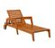 Bain De Soleil Inclinable - Accoudoirs, Roues - Bois Verni