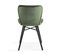 Lot De 2 Chaises En Velours Vert Foncé