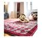 Tapis Rouge D'orient Rectangle Haley Rouge 40x60