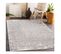 Tapis Design Rayé Rectangle Intérieur Persane Gris 120x170