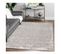 Tapis Design Rayé Rectangle Intérieur Persane Gris 80x150