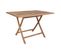 Table Jardin Rectangulaire 120cm Teck Naturel - Destin