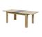 Table Rectangulaire Allongeable Imitation Bois - Iris