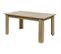 Table Rectangulaire Allongeable Imitation Bois - Iris