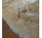 Tapis Shaggy 100x100 Rond Sg Fin Beige