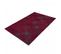 Tapis Entrée 115x180 Tissé Rouge Et Gris Rectangle Motif Faux Uni Tereminde