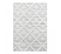 Tapis Salon 200x290 Pistioum Gris, Blanc