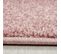 Tapis Salon 60x100 Soula Rose