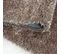 Tapis Longs Poils Shaggy 200x290 Rectangle Tissé Beige Motif Uni Uni A