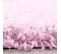 Tapis Poils Longs Shaggy 60x110 Rectangle Tissé Rose Motif Uni Uni L