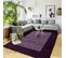 Tapis Poils Longs Shaggy 60x110 Rectangle Tissé Violet Et Pourpre Motif Simple