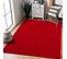 Tapis Salle à Manger 200x290 Tissé Rouge Rectangle Motif Uni Nossa