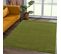 Tapis Salon 200x290 Nossa Vert