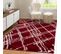 Tapis Shaggy 80x300 Ember 1 Rouge, Blanc