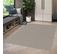 Tapis Exterieur 160x230 Moondow Argent