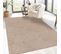 Tapis Exterieur 120x170 Lumiere 2 Beige