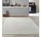 Tapis Salon 160x230 Lucen 8 Argent, Écru