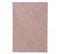 Tapis Salon 120x170 Alegria Rose