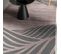 Tapis Salon 160x230 Palm Rose, Gris