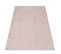 Tapis Salon 140x200 Anvik Beige