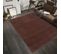 Tapis Salon 80x150 Anvik Marron