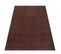 Tapis Salon 120x160 Anvik Marron