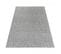 Tapis Salon 80x150 Sakrda Argent