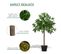 Lot De 2 Lauriers Artificiels Trees Verts