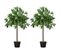 Lot De 2 Lauriers Artificiels Trees Verts