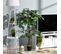 Plante Artificielle Ficus Vert