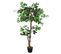 Plante Artificielle Ficus Vert