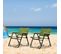 Lot De 2 Chaises De Jardin Camping Pliantes Olivier Vert