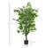 Plante Ficus Artificielle Avec Pot Agnes Verte