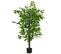 Plante Ficus Artificielle Avec Pot Agnes Verte