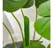 Plante Artificielle Monstera Leonardo Verte