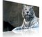 Tableau Tigre Blanc 120 X 80 Cm Blanc