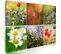 Tableau Prairie Multicolore 60 X 40 Cm Vert