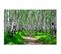 Tableau Forêt De Bouleaux 2 50 X 40 Cm Vert