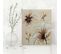 Tableau Fleurs 6 60 X 60 Cm Beige