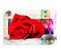 Tableau Rose Rouge 50 X 40 Cm Rouge