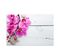 Tableau Orchidée Rose Et Bourgeons 100 X 70 Cm Blanc