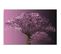 Tableau Arbre Violet 120 X 80 Cm Violet