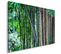 Tableau Bambou 3 70 X 50 Cm Vert