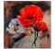 Tableau Coquelicots Encore La Vie 30 X 30 Cm Rouge