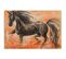 Tableau Cheval Noir 1 40 X 30 Cm Orange