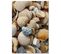 Tableau Bois Coquilles 2 30 X 40 Cm Beige